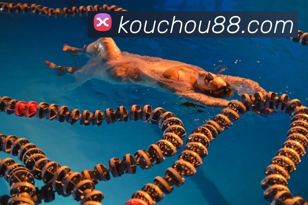 kaiyun平台生态图